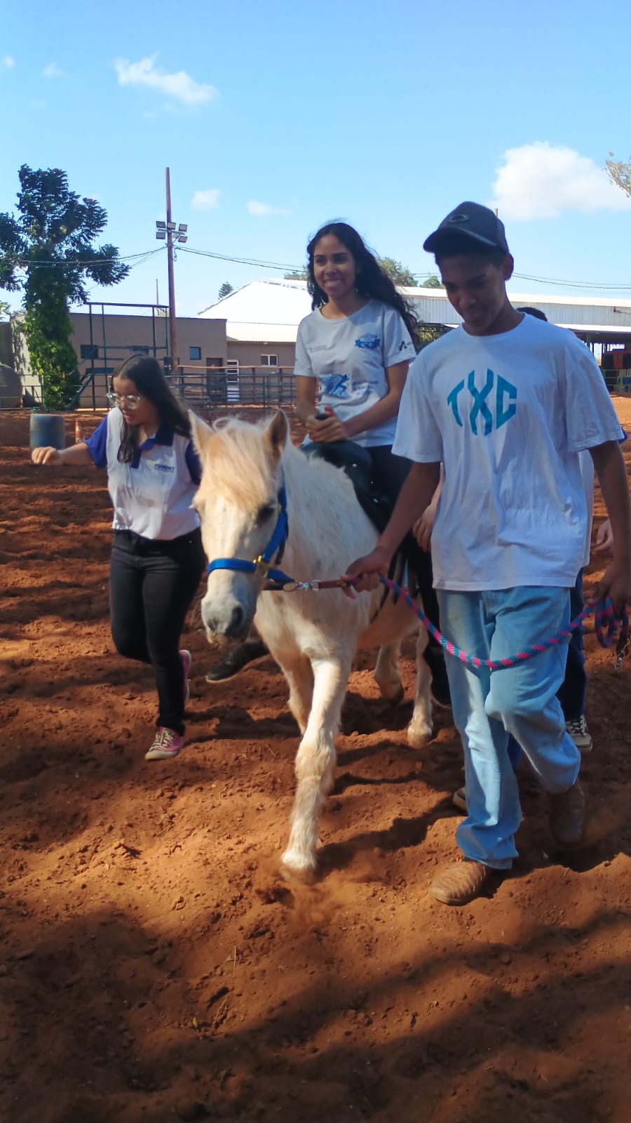 Projeto Piloto – Atividades assistidas com animais III - Imagem 3