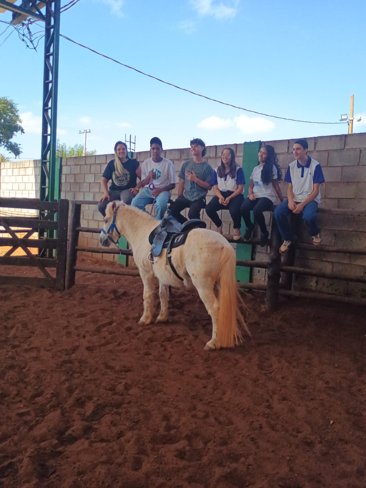 Projeto Piloto – Atividades assistidas com animais III - Imagem 9